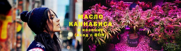 крисы Абаза