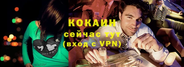 крисы Абаза