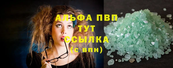 крисы Абаза
