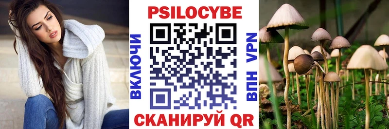 цены наркотик Вышний Волочёк Псилоцибиновые грибы Magic Shrooms